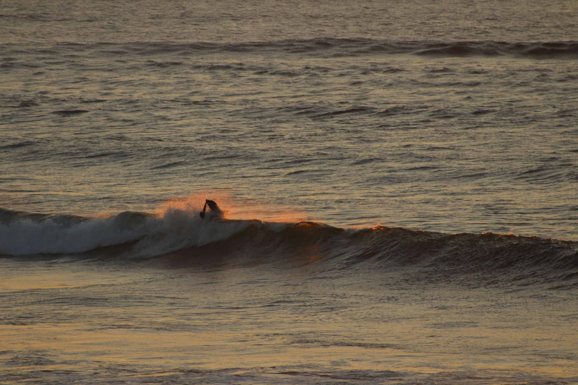 persona surfeando una ola con tabla de bodyboarding